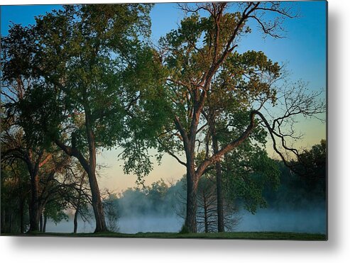 Fog Metal Print featuring the photograph Good Morning Waco by Elaine Malott