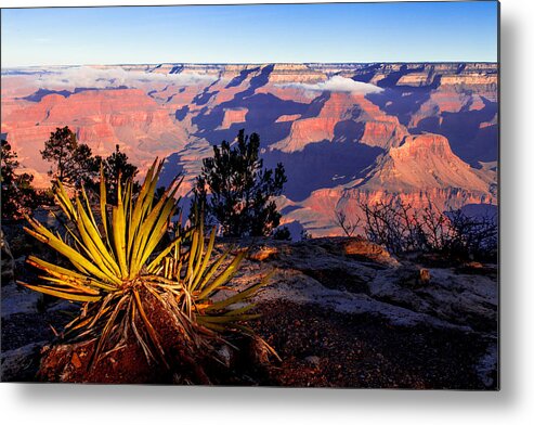 Grand Canyon National Park Metal Print featuring the photograph Grand Canyon 31 by Donna Corless