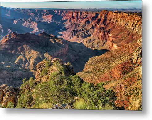 Arizona Metal Print featuring the photograph Grand Canyon and Colorado River 7R2_DSC2022_08152017 by Greg Kluempers