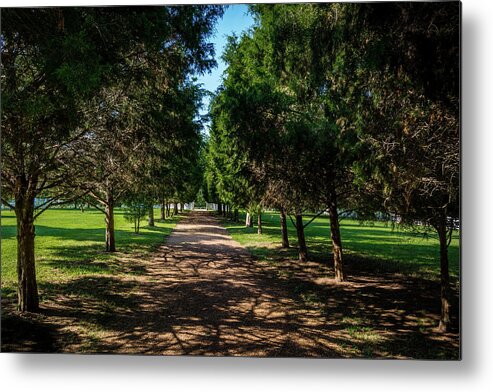 Hermitage Metal Print featuring the photograph Grand Pathway - The Hermitage by James L Bartlett