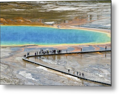 Grand Prismatic Spring Metal Print featuring the photograph Grand Prismatic Spring by Teresa Zieba