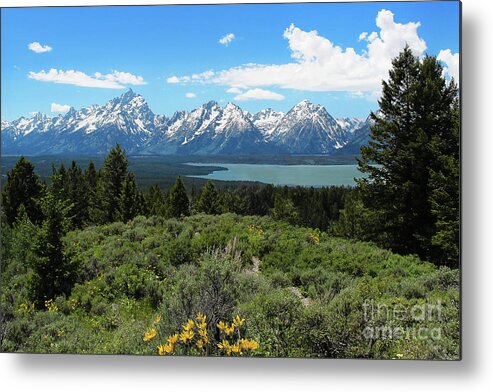 Grand Tetons Metal Print featuring the photograph Grand Tetons by Jemmy Archer