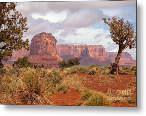 Monument Valley Print Metal Print featuring the photograph Grandview by Jim Garrison