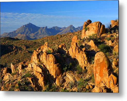 Texas Metal Print featuring the photograph Grapevine Hills by Eric Foltz
