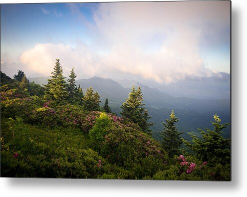Photography Metal Print featuring the photograph Grassy Ridge Rhododendron Bloom by Serge Skiba