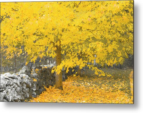 Fall. Maine Metal Print featuring the photograph Gravitational Inevitability by Jeff Cooper