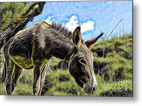 Donkey Metal Print featuring the mixed media Grazing by Marvin Blaine