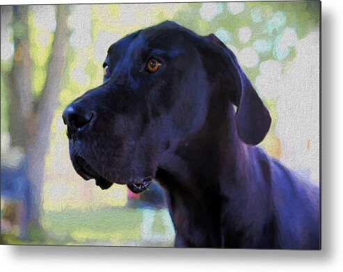 Great Dane Metal Print featuring the painting Great Dane by Theresa Campbell