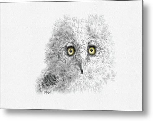 Owl Metal Print featuring the digital art Great Horned Owlet by Kathie Miller