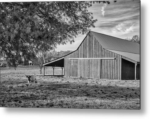 Bull Metal Print featuring the photograph Green Barn Black And White by Lorraine Baum