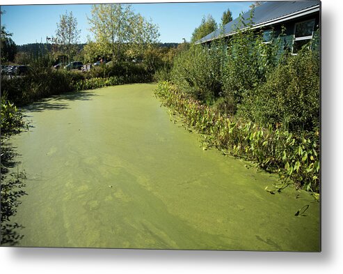 Green Ditch And Visitor Center Metal Print featuring the photograph Green Ditch and Visitor Center by Tom Cochran