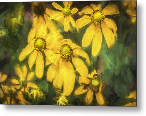 Echinacea Metal Print featuring the photograph Green Headed Coneflowers Painted by Rich Franco