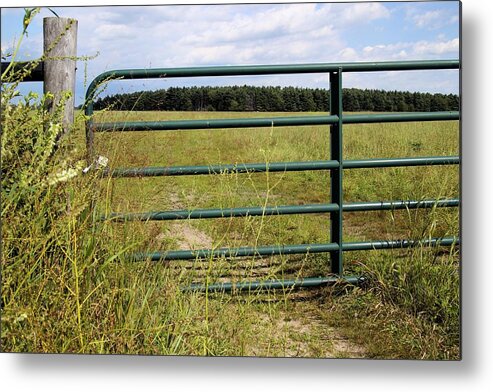 Meadow Metal Print featuring the photograph Green Pasture Gate by Scott Kingery