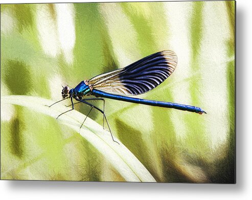 Dragonfly Metal Print featuring the photograph Green Story by Jaroslav Buna