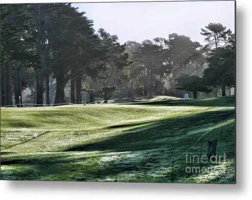 Tiger Metal Print featuring the photograph Greens Golf Harding Park San Francisco by Chuck Kuhn