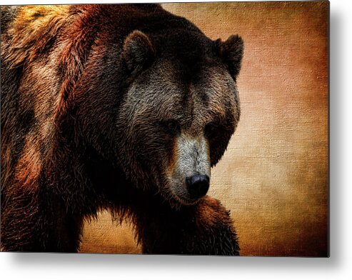 Grizzly Bear Metal Print featuring the photograph Grizzly Bear by Judy Vincent