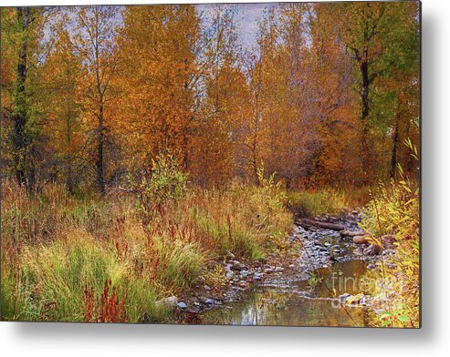Gros Ventre Metal Print featuring the photograph Gros Ventre Area by Lynn Sprowl