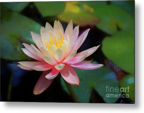 John+kolenberg Metal Print featuring the photograph Grutas Water Lilly by John Kolenberg