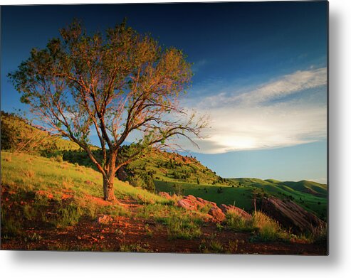 Red Rocks Park Metal Print featuring the photograph Guardian Of Light by John De Bord