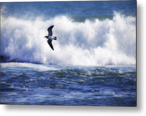 Photo Metal Print featuring the photograph Gull in the Waves by Alan Hausenflock