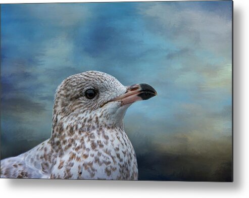Gull Metal Print featuring the photograph Gull Profile by Cathy Kovarik