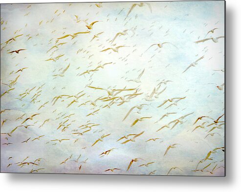 Gulls Metal Print featuring the painting Gulls at the Beach by Peggy Collins