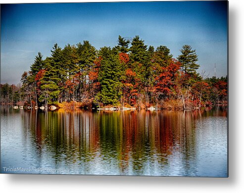 Water Metal Print featuring the photograph Haggetts Reflections by Tricia Marchlik