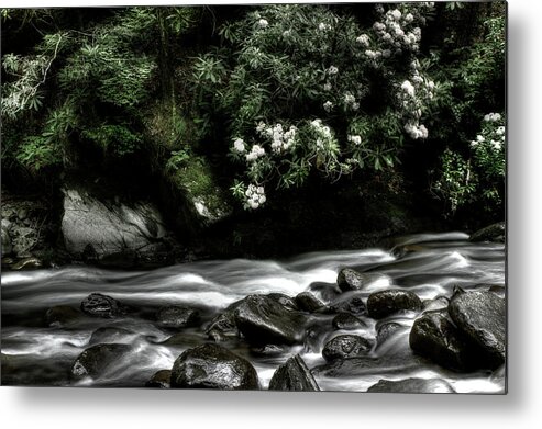 Quiet River Scene Metal Print featuring the photograph Half And Half by Mike Eingle