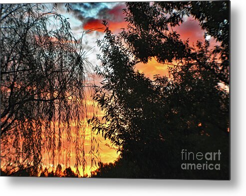 Nature Metal Print featuring the photograph Halloween Sunrise 2015 by DB Hayes