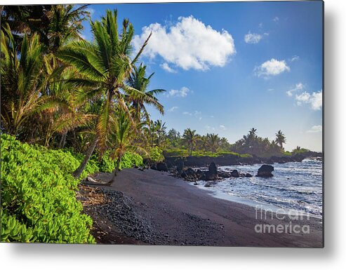 America Metal Print featuring the photograph Hana Bay Palms by Inge Johnsson