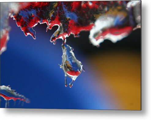 Ice Metal Print featuring the photograph Hang in There by Rachelle Johnston