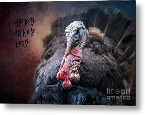 Wild Turkey Metal Print featuring the photograph Happy Turkey Day by Eva Lechner