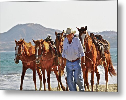 Animals Metal Print featuring the photograph Hardworking Man by Diana Hatcher