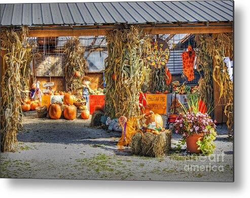 Autumn Metal Print featuring the photograph Harvest Days by David Birchall