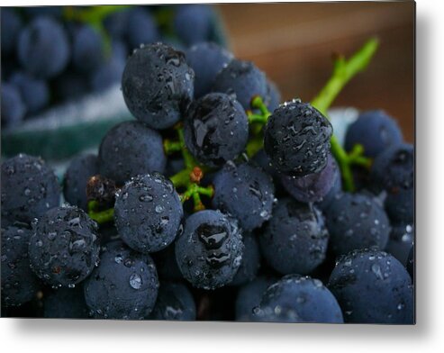 Concord Metal Print featuring the photograph Harvest Time by Amanda Jones