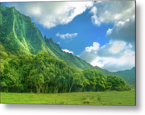 Green Metal Print featuring the photograph Hawaii Green by Ksenia VanderHoff