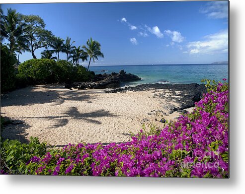 French Metal Print featuring the photograph Hawaii, Maui, Makena, Bougainvillea by Peter French