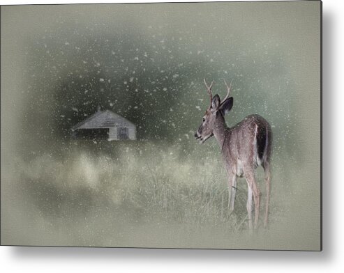 Jai Johnson Metal Print featuring the photograph Heading Home In The First Snow - with Canvas Vignette by Jai Johnson