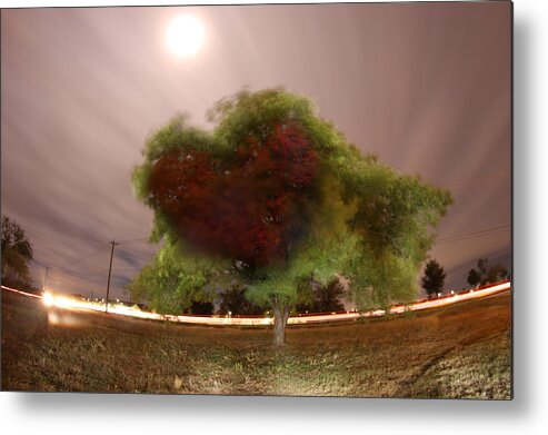 Landscape Metal Print featuring the photograph Heart tree Scene by Andrew Nourse