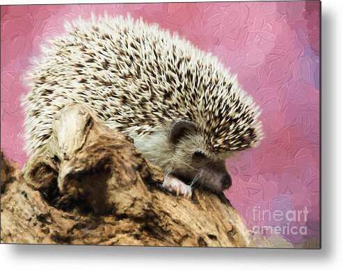 African Metal Print featuring the photograph Hedgehog by Les Palenik