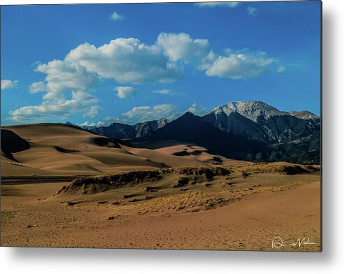Canon 7d Mark Ii Metal Print featuring the photograph Herard past the Dunes by Dennis Dempsie
