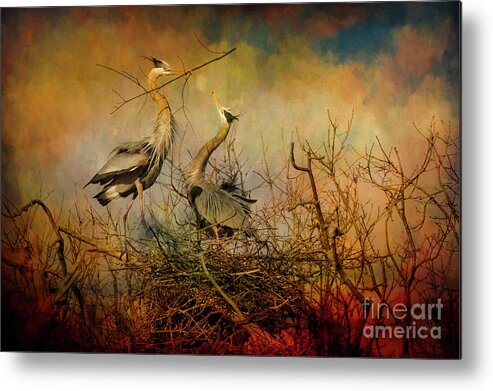 Age-relationships Metal Print featuring the photograph Heron offering BI9270 by Mark Graf