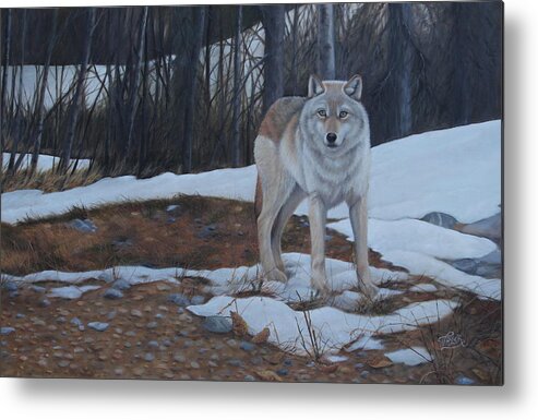 Timber Wolf Metal Print featuring the painting Hesitation by Tammy Taylor