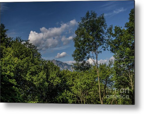 Michelle Meenawong Metal Print featuring the photograph Hidden Mountain by Michelle Meenawong