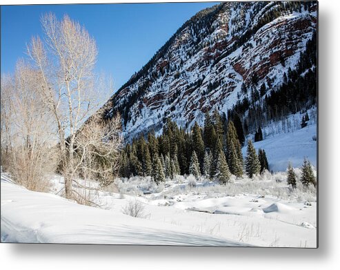 Metal Print featuring the photograph High in the Rockies before Independence Pass by Carol M Highsmith