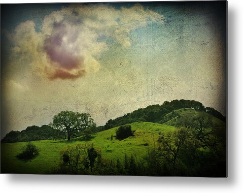 Landscape Metal Print featuring the photograph Higher Love by Laurie Search