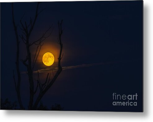 Full Moon Metal Print featuring the photograph Highland Moon by Thomas R Fletcher