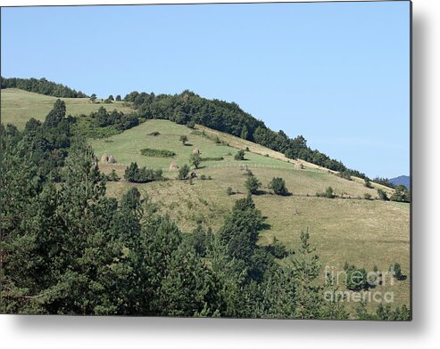 Mountain Metal Print featuring the photograph Hill With Haystack And Trees Landscape by Goce Risteski