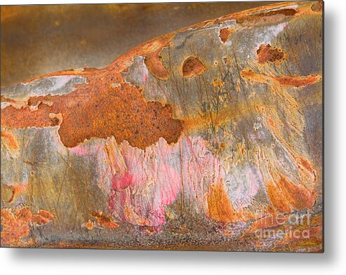 Grunge Metal Print featuring the photograph Hillside by Marilyn Cornwell