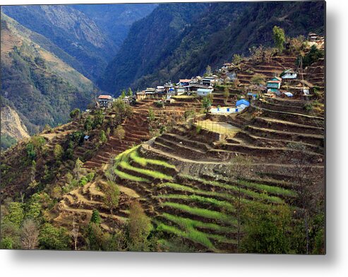 Himalayas Metal Print featuring the photograph Himalayan Terraced Fields by Aidan Moran